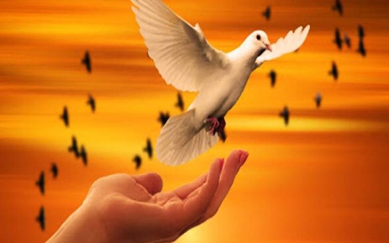 آزادی محکوم به قصاص پس از ۵ سال از زندان جیرفت